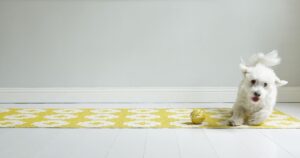 brita-sweden-rug-flower-sun-7