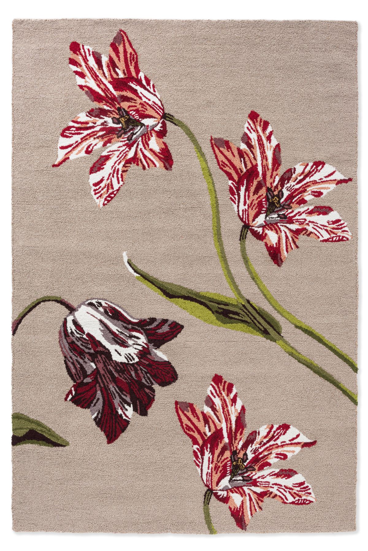 ted-baker-rug-botanical-tulip-burgundy-455610